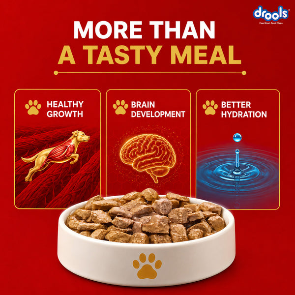 Drools Real Chicken & Chicken Liver Chunks in Gravy Puppy Dog Wet Food