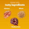 Pedigree Chicken Flavour Tasty Jerky Dog Treat Dog Treats + Others Pedigree