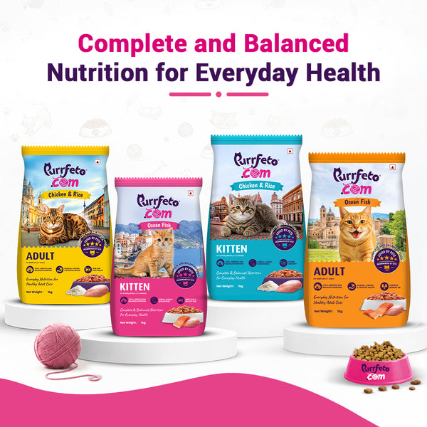 Purrfeto.com Ocean Fish Kitten Cat Dry Food