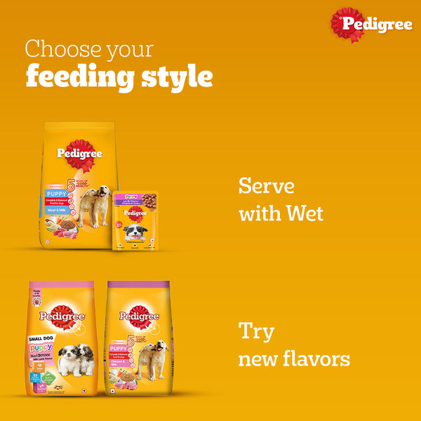 Pedigree Meat & Milk and Chicken Chunks in Gravy Puppy Dry and Wet Food Combo