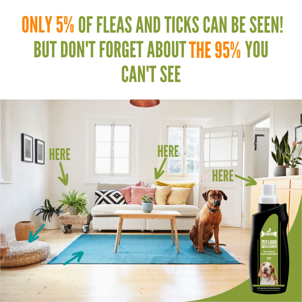 DOGZ & DUDEZ Tick and Flea Repellent Floor Cleaner for Dogs and Cats