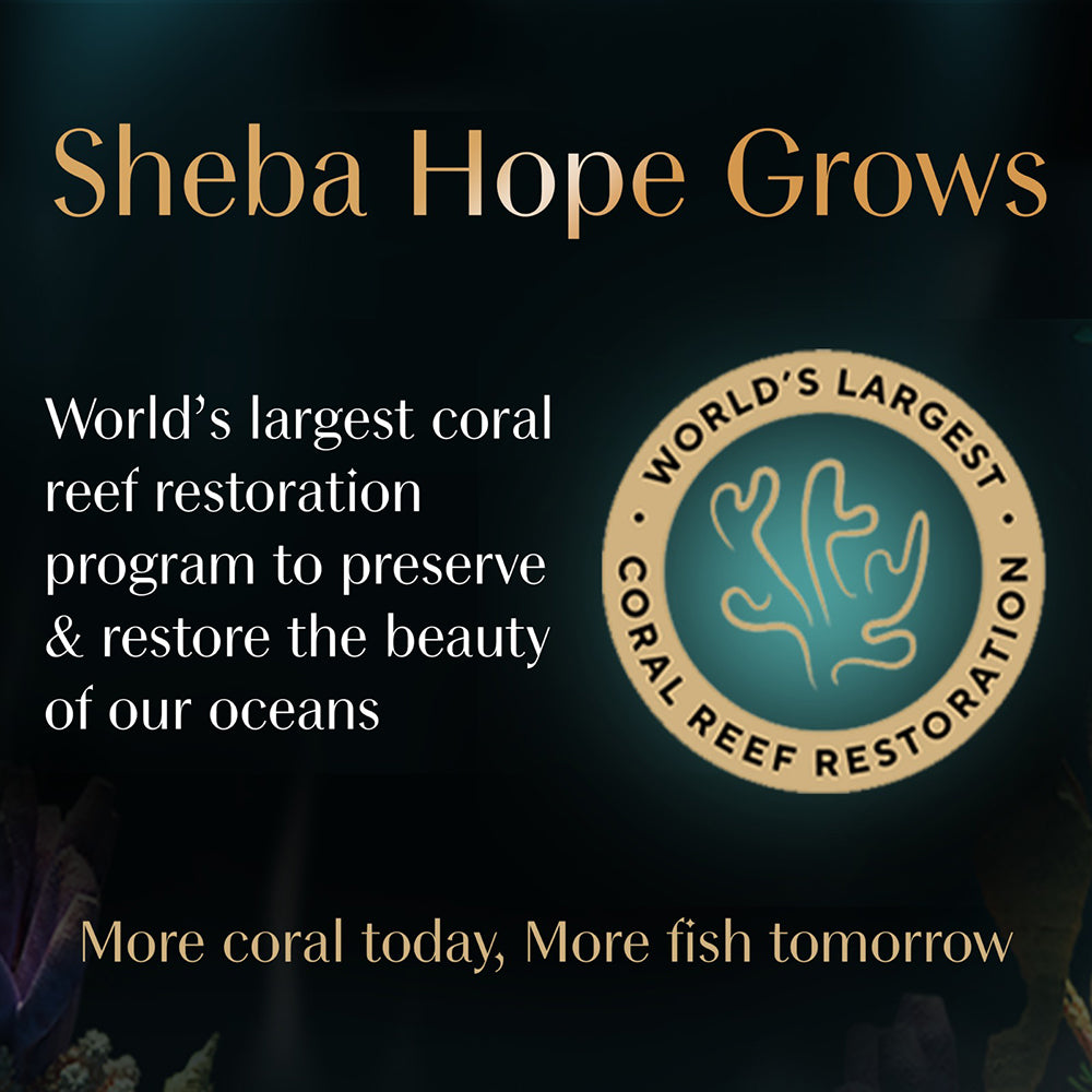 Sheba Maguro & Bream Fish Mix Premium Cat Wet Food Cats-Wet Food Sheba