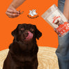 FloofYou Air Dried Quail Wings and Neck Chews Dog and Cats Treats Dog Treats + Others FloofYou