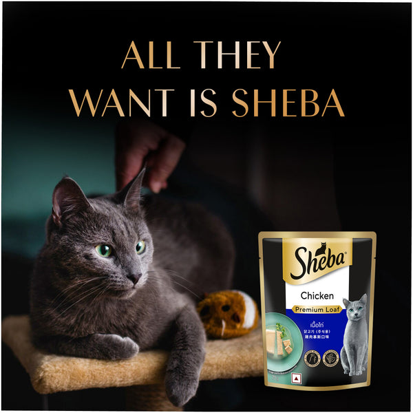 Sheba Chicken With Tuna In Gravy Rich Premium Adult Fine Cat Wet Food