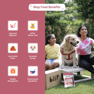 BLEP Chicken Brocco Pawer Dog Wet Food (300g)