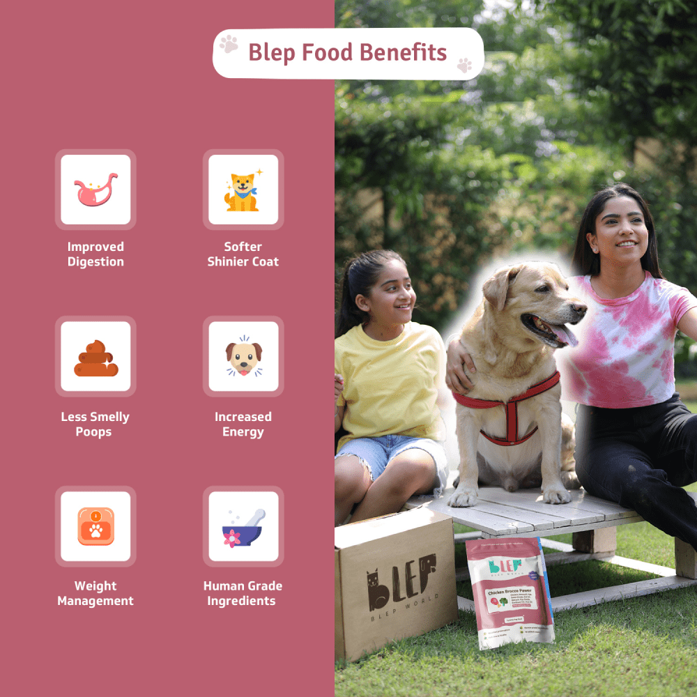 BLEP Pawer 5 Flavour Variety Pack Dog Wet Food