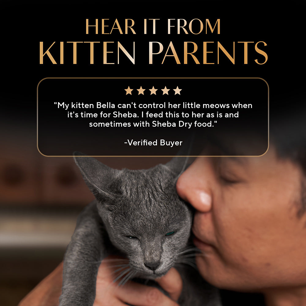 Sheba Chicken Loaf Rich Premium Kitten (2 to 12 Months) Fine Cat Wet Food Cats-Wet Food Sheba