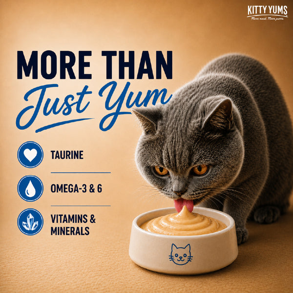 Kitty Yums Seafood Medley Creamy Cat Treat