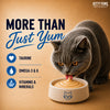 Kitty Yums Seafood Medley Creamy Cat Treat Cats-Treats & Others Kitty Yums