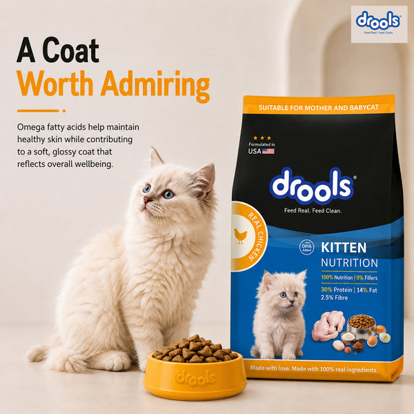Drools Real Chicken Kitten Dry Food