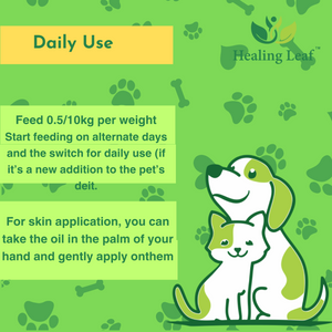 Healing Leaf Hemp Oil for Dogs and Cats