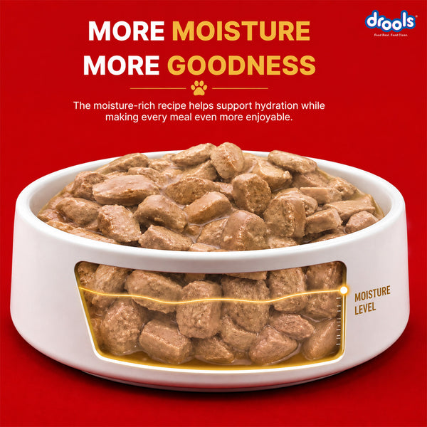 Drools Real Chicken & Chicken Liver Chunks in Gravy Adult Dog Wet Food