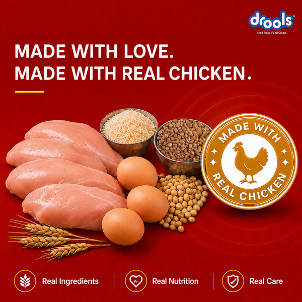 Drools Chicken and Egg Adult Dog Dry Food
