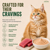 Signature Grain Zero Tuna Mousse Kitten Cat Wet Food Cats-Wet Food Signature