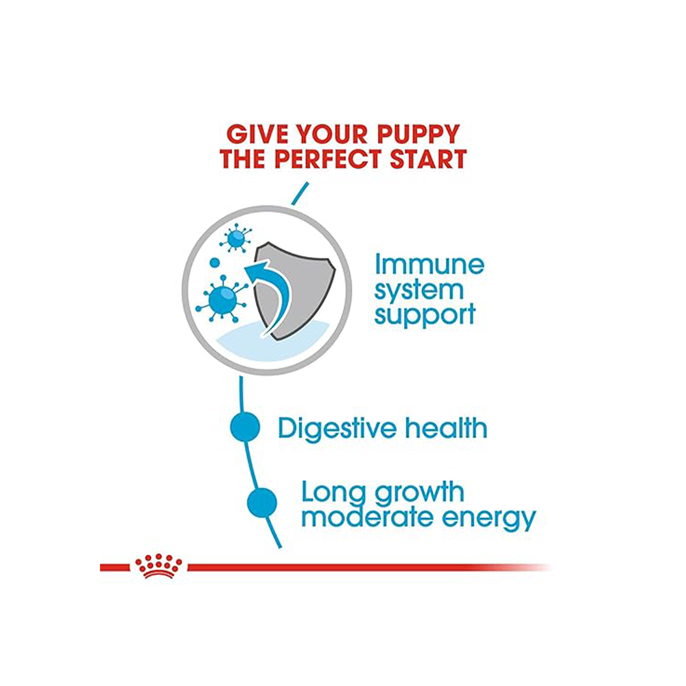 Royal Canin Maxi Puppy Dog Wet Food Dogs-Wet Food Royal Canin