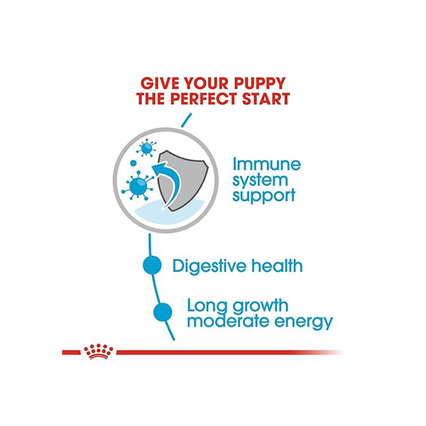 Royal Canin Maxi Puppy Dog Wet Food
