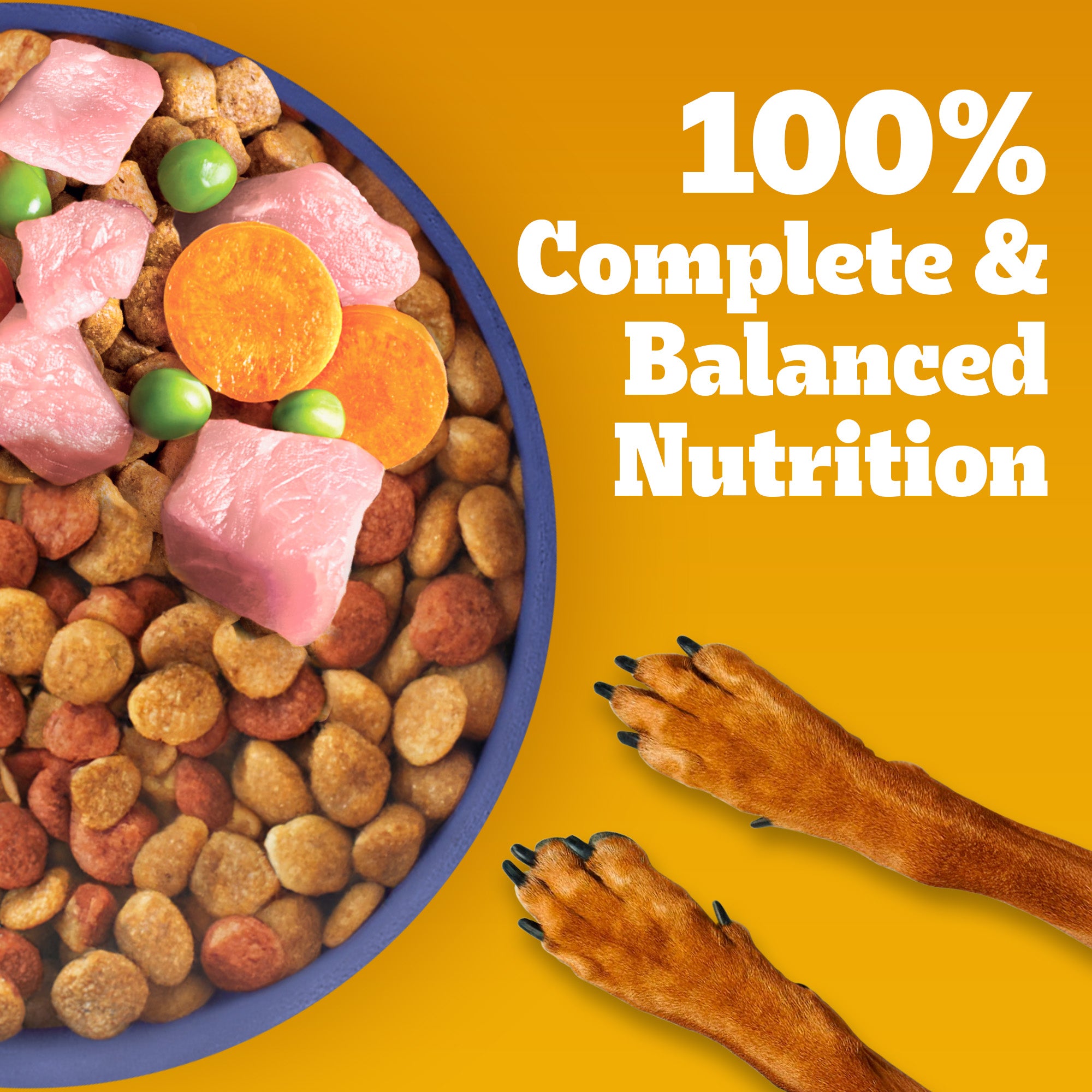 Pedigree Puppy Dog Food Combo |Chicken & Milk Dry & Chicken & Liver Wet Dogs- Dry Food Pedigree