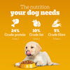 Pedigree Chicken and Milk Puppy Dog Dry Food Dogs- Dry Food Pedigree