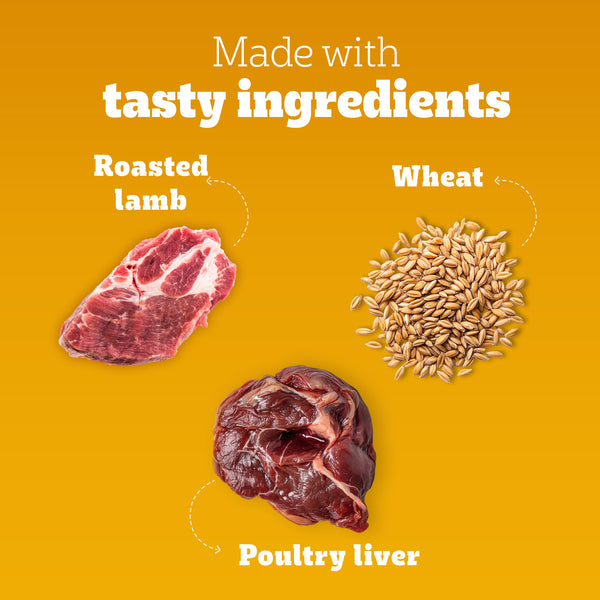 Pedigree Roasted Lamb Tasty Jerky Dog Treat