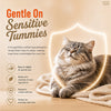 Signature Grain Zero Salmon Lickable Creamy Cat Treats Cats-Treats & Others Signature