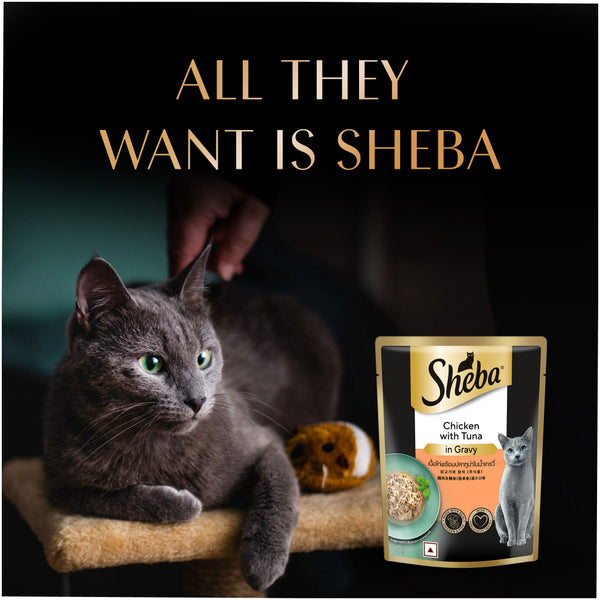 Sheba Chicken With Tuna In Gravy Rich Premium Adult Fine Cat Wet Food