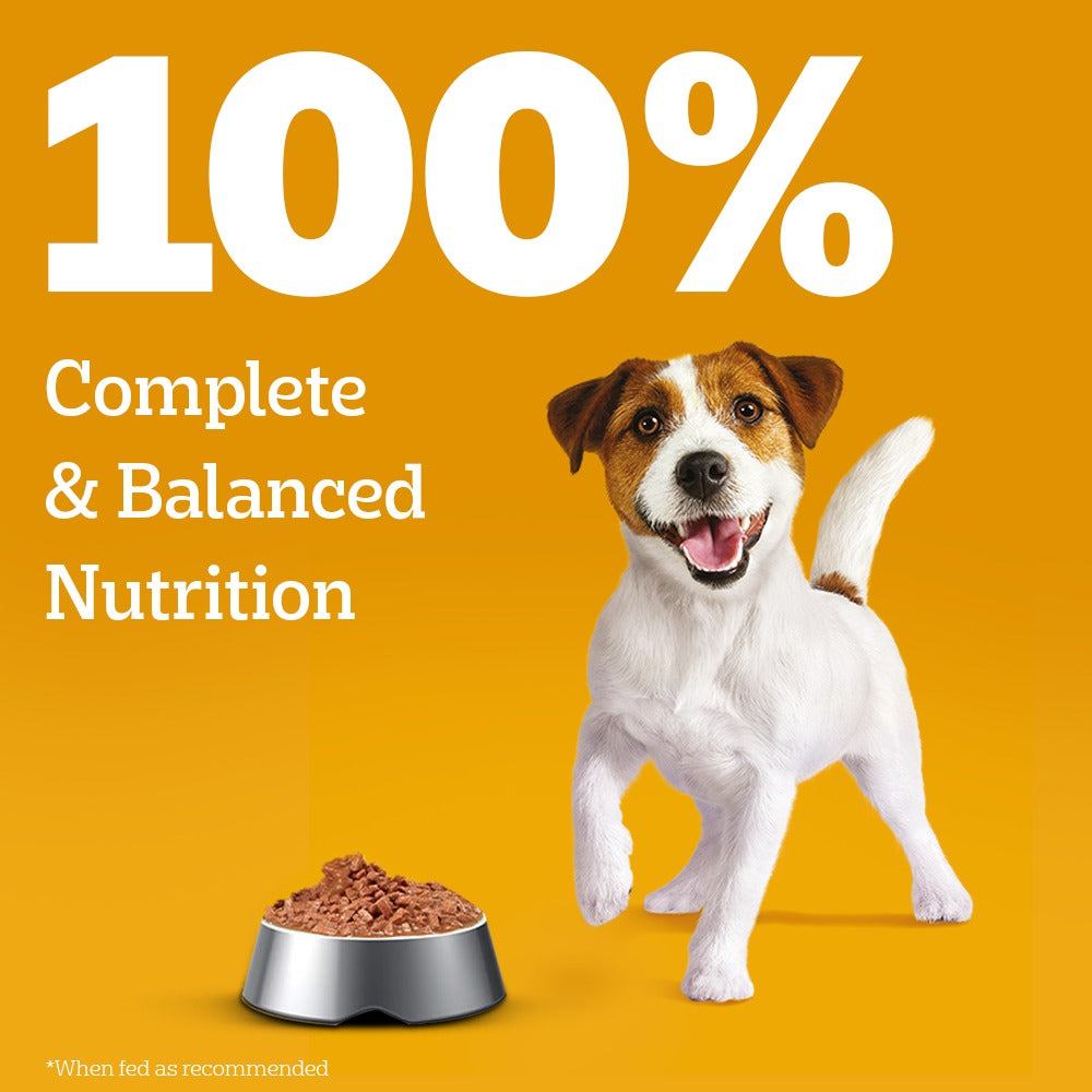 Pedigree Chicken & Liver Chunks in Gravy Puppy Wet Dog Food Dogs-Wet Food Pedigree