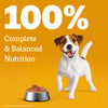 Pedigree Puppy Dog Food Combo |Meat & Milk Dry & Chicken & Liver Wet Dogs- Dry Food Pedigree
