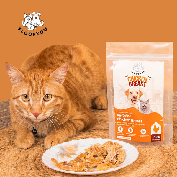 FloofYou Air Dried Chicken Breast Jerky Dogs and Cats Treat