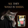 Sheba Chicken Loaf Rich Premium Kitten (2 to 12 Months) Fine Cat Wet Food Cats-Wet Food Sheba