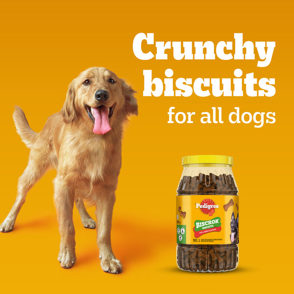 Pedigree Lamb Flavour (4+ Months) Biscrok Biscuits Jar Treats for Dogs