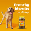 Pedigree Lamb Flavour (4+ Months) Biscrok Biscuits Jar Treats for Dogs Dog Treats + Others Pedigree