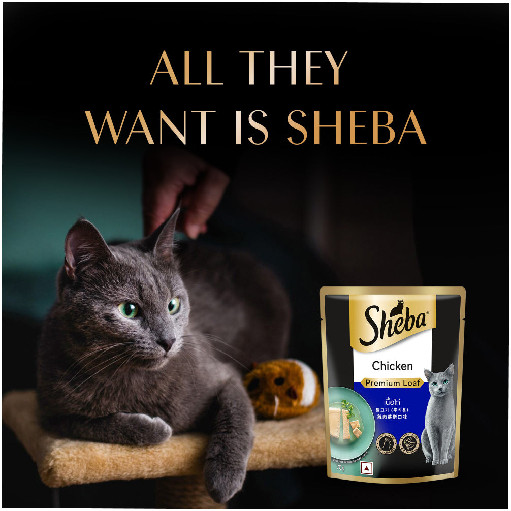 Sheba Chicken Loaf Rich Premium Adult Fine Cat Wet Food