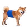 KUTKUT Diapers for Male Dogs (Blue) Dogs-Health & Wellness KUTKUT Dropship