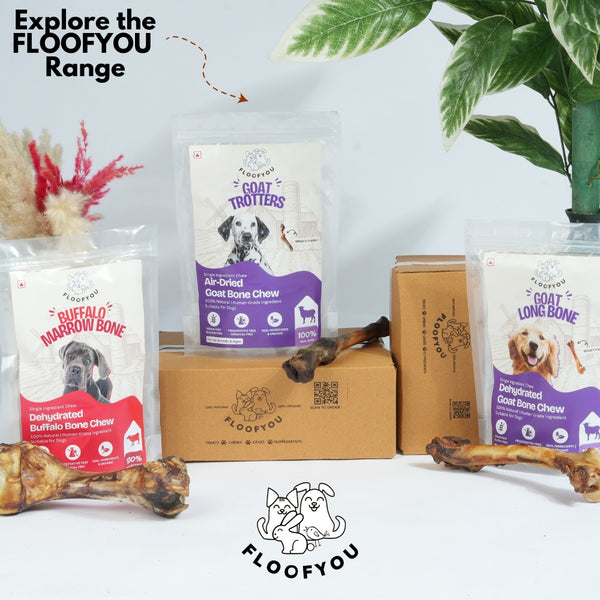 Floofyou Air Dried Buffalo Shoulder Bone Dental Chew Dog Treats