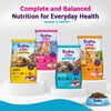 Purrfeto.com Chicken and Rice Kitten Cat Dry Food Cats- Dry food Purrfeto