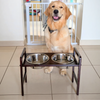 FurryLiving Linea Adjustable Elevated Raised Feeder with 2 Bowls for Dogs and Cats (Dark Brown) Both-Bowls & Feeders FurryLiving Dropship