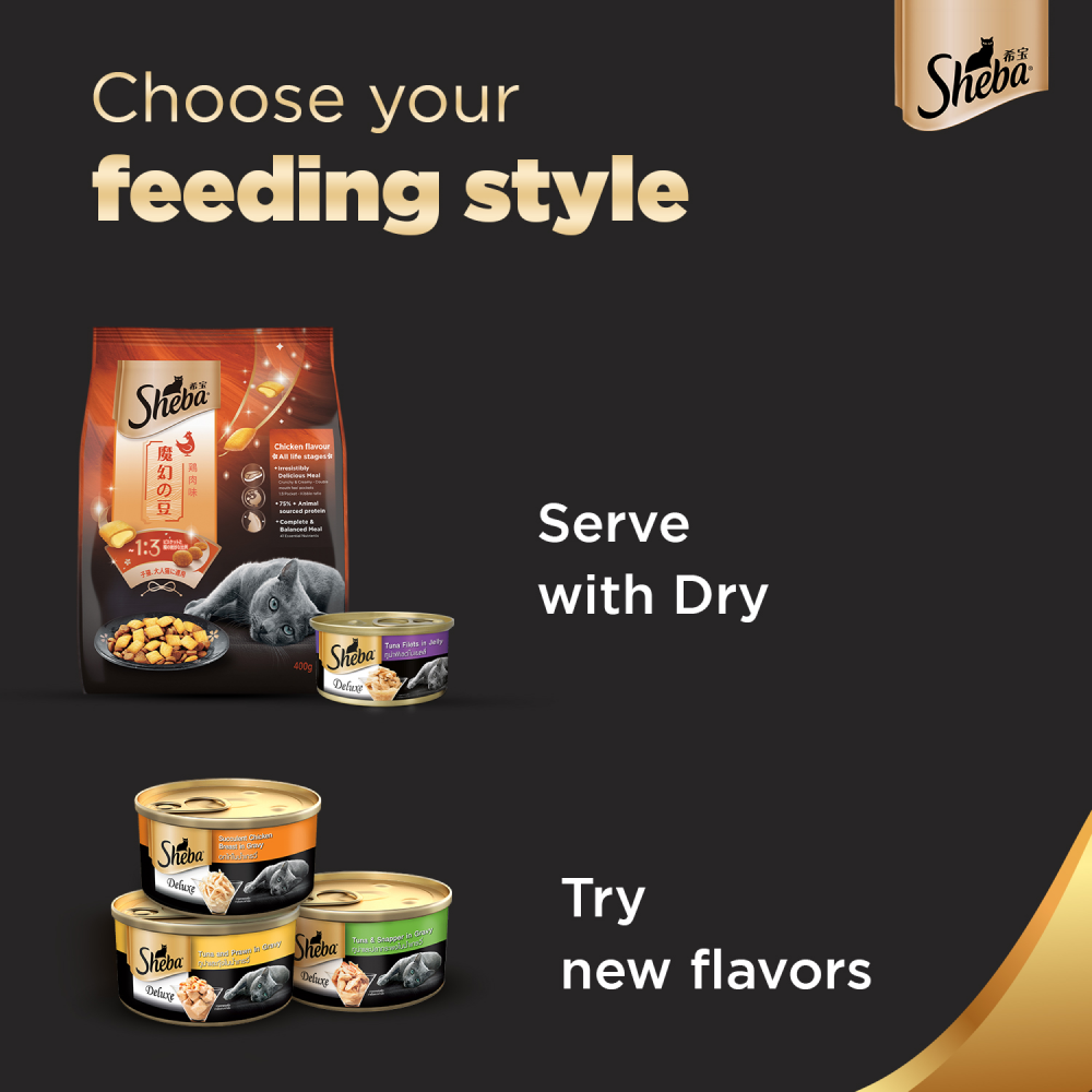 Sheba Pure Tuna Filets in Jelly Premium Cat Wet Food and Salmon Flavour Irresistible All Life Stages Cat Dry Food Combo Exclusive Combo Sheba