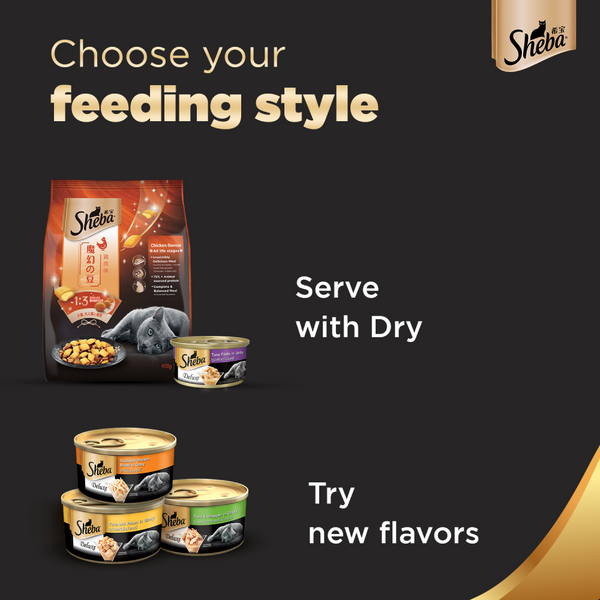Sheba Pure Tuna Filets in Jelly Premium Cat Wet Food and Salmon Flavour Irresistible All Life Stages Cat Dry Food Combo