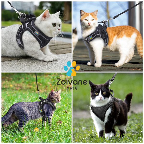 Zoivane Harness for Cats (Black)