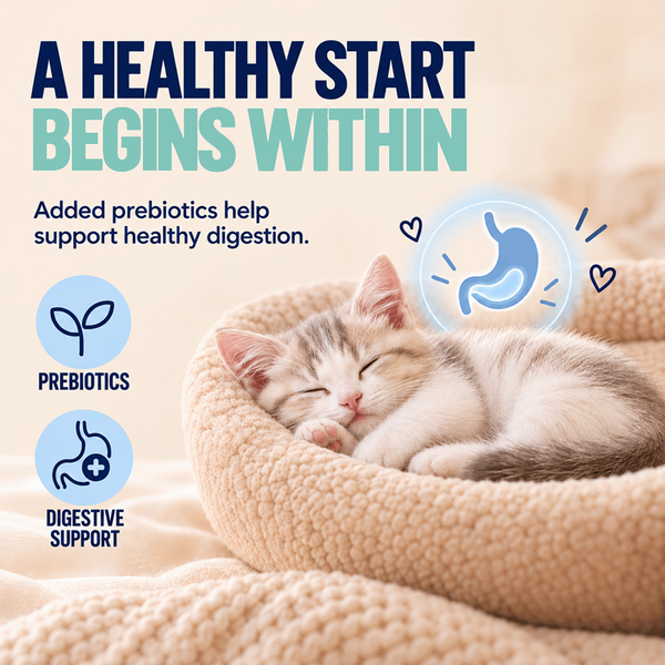 Kitty Yum Tuna Mousse Kitten Cat Wet Food