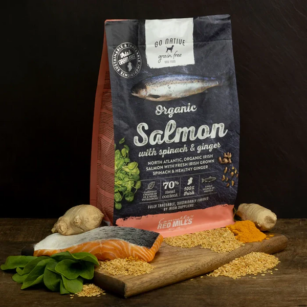 Go Native Salmon with Spinach & Ginger Adult Dog Dry Food