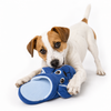 Talking Dog Club Doggie Dog Slipper Squeaky Plush Toy for Dogs (Blue) Dogs-Toys Talking Dog Club Dropship