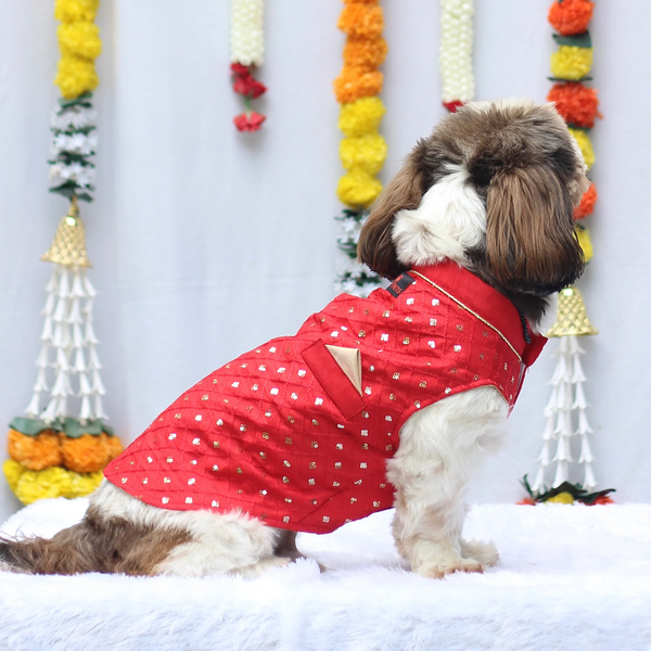Pawgypets Festive Shahi Kurta for Dogs (Red)