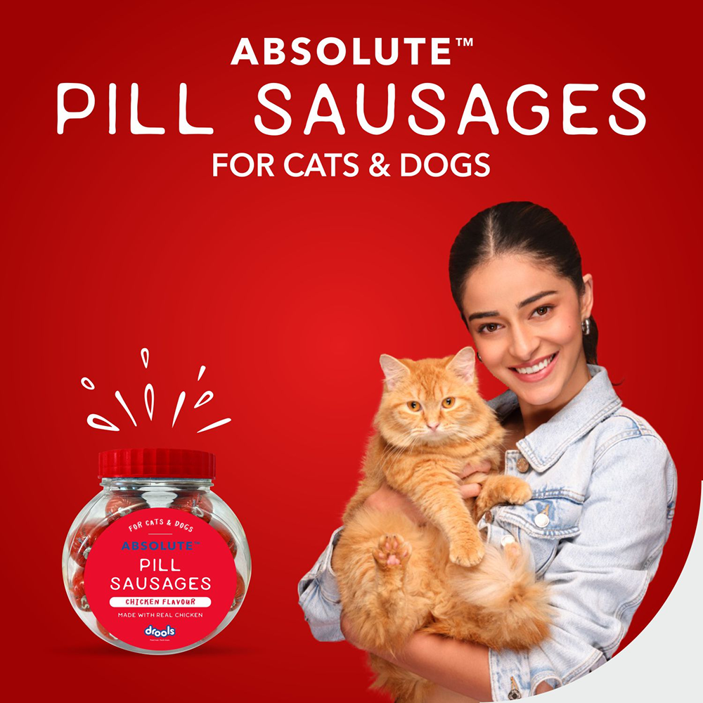 Drools Real Chicken Pill Sausage Treats for Dogs and Cats(Jar) Dog Treats + Others Drools