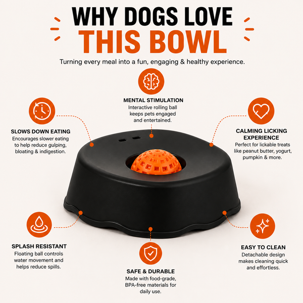 Talking Dog Club Lickables Spin Flow Slow Feeder Bowl for Dogs and Cats