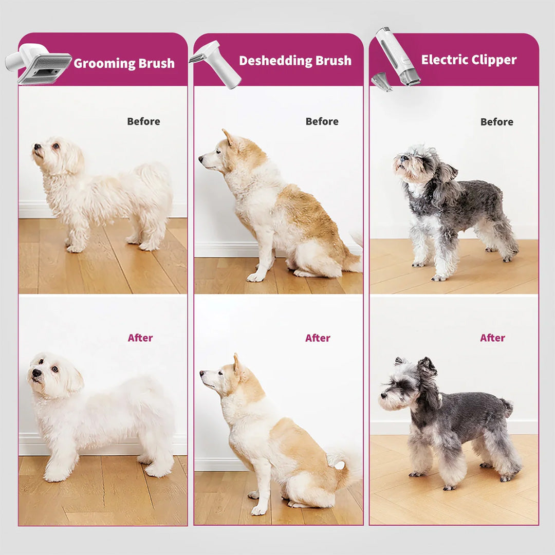 Petkit Professional 5 in 1 Grooming & Hair Vaccum Kit for Dogs and Cats (Grey) Sample Supertails
