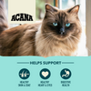 Acana Bountiful Catch Cat Dry Food Cats- Dry food Acana