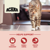 Acana Indoor Entree Cat Dry Food Cats- Dry food Acana
