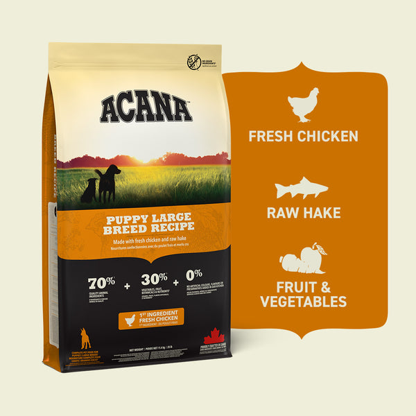 Acana Large Breed Puppy Dry Food