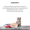 Active Real Tuna Fish in Gravy Kitten Cat Wet Food (Buy 1 Get 1) Cats-Wet Food Active